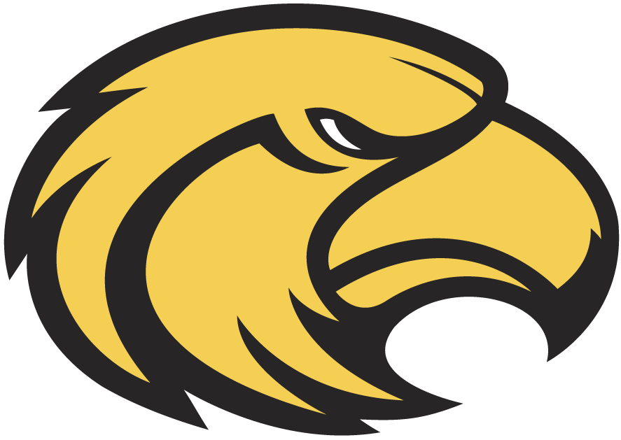 Southern Miss Golden Eagles 2003-2014 Secondary Logo fabric transfer